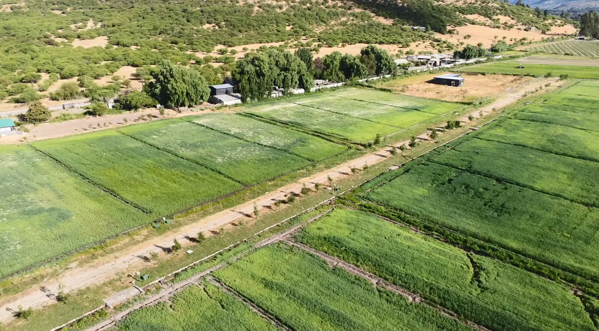 Rio Mataquito