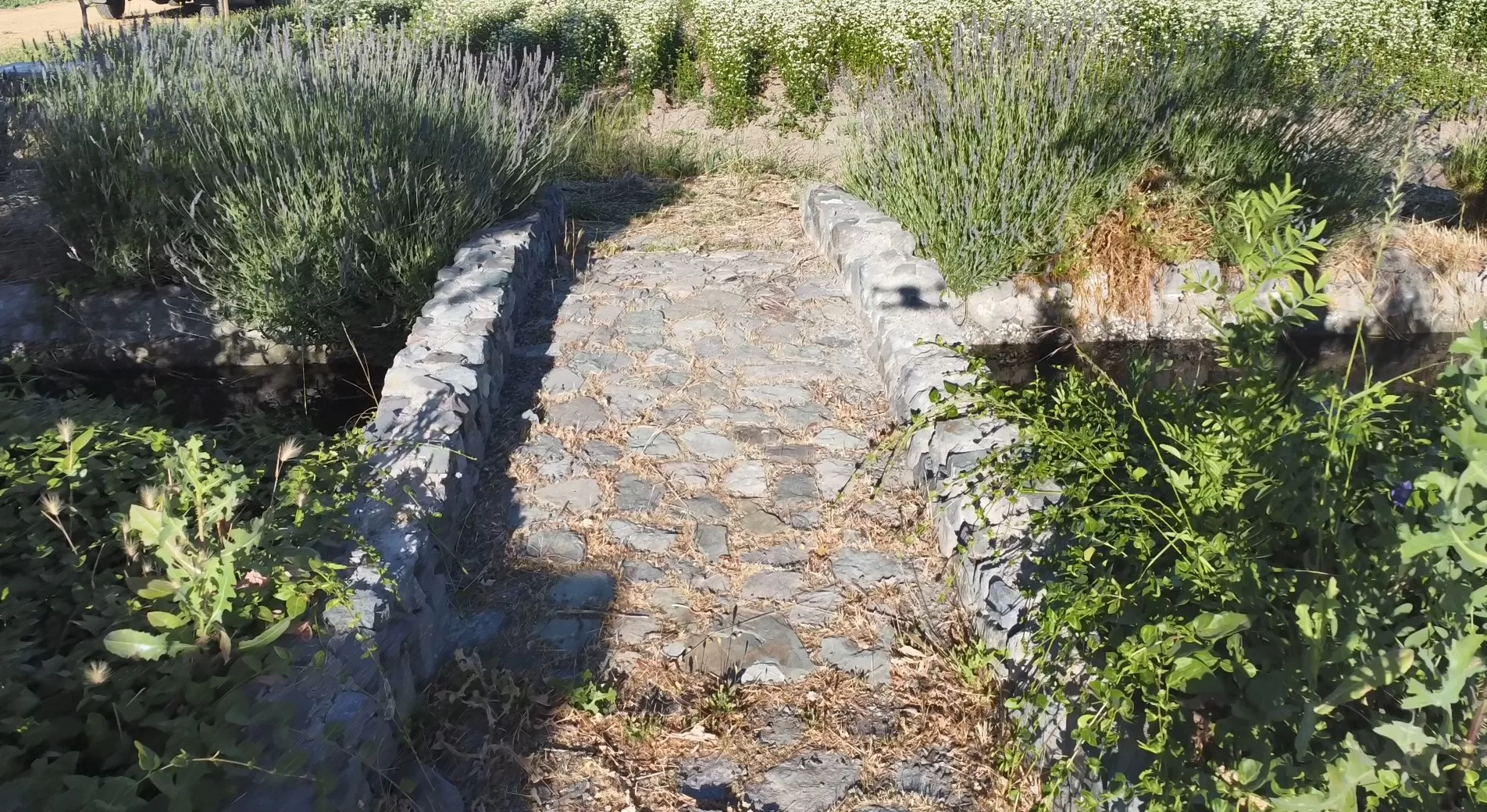 Parcelas de Agrado Quillayes de Tricao - Curico