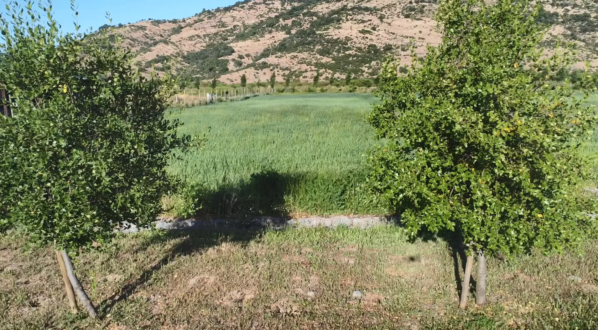 Rio Mataquito